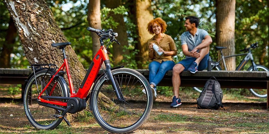 electric bike shopping