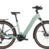 BERGAMONT E-Horizon Sport 20 Wave - sage green